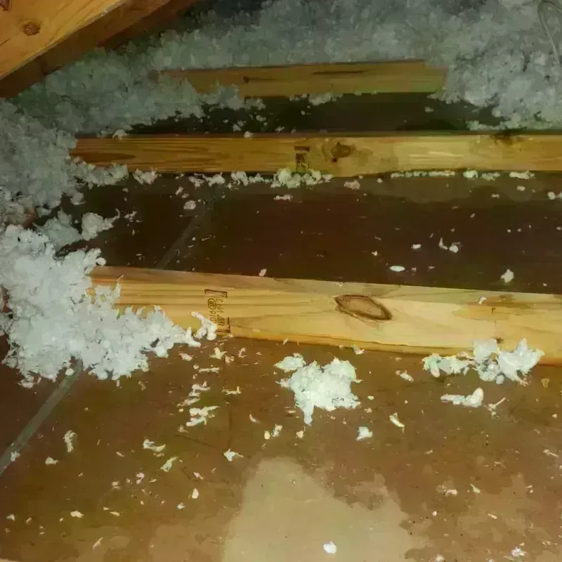 Attic Water Damage in South Fallsburg, NY